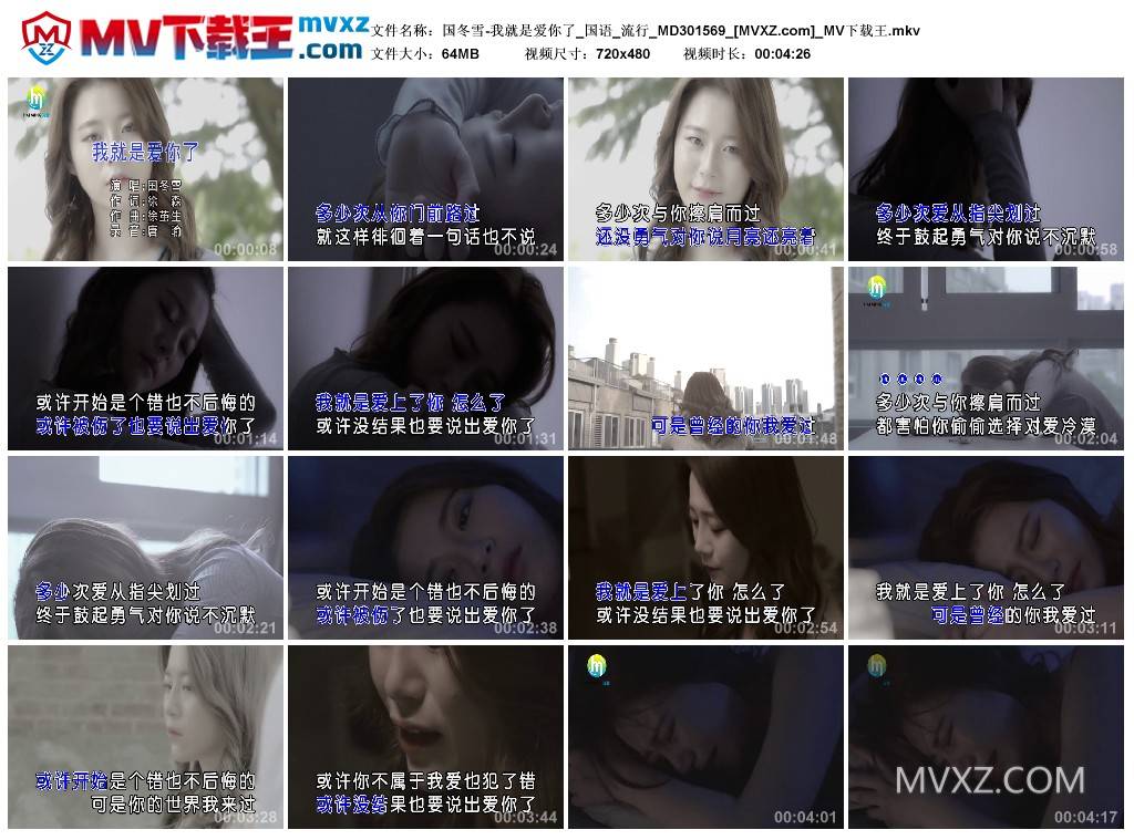 国冬雪-我就是爱你了_国语_流行_MD301569